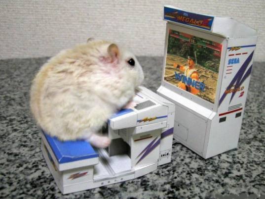 image.jpg