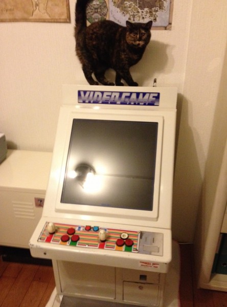Günschtig vom gamecollector becho...
