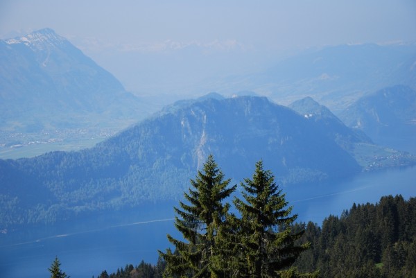 DSC_0587b.jpg
