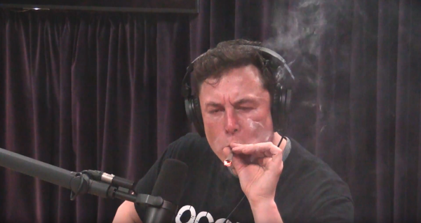 Elon.png