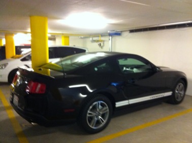 bc3d2f24-f855-d241.jpg