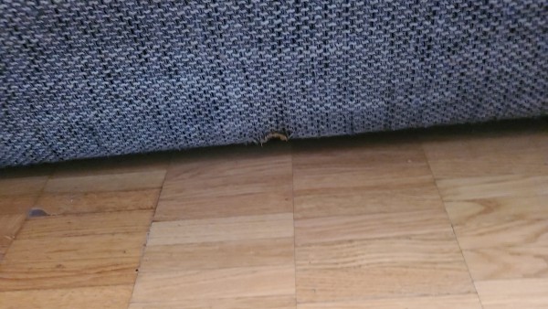 IMG-20210103-WA0036.jpeg