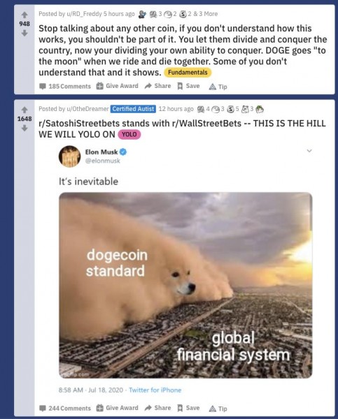 doge.jpg
