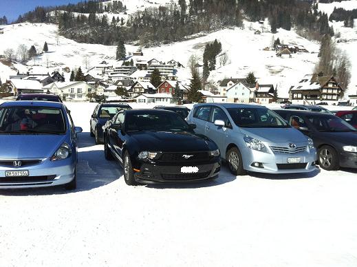 Mustang Schnee.jpg