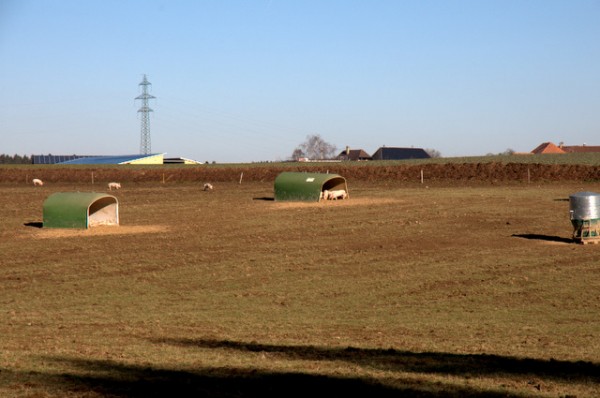 DSC_2526.jpg